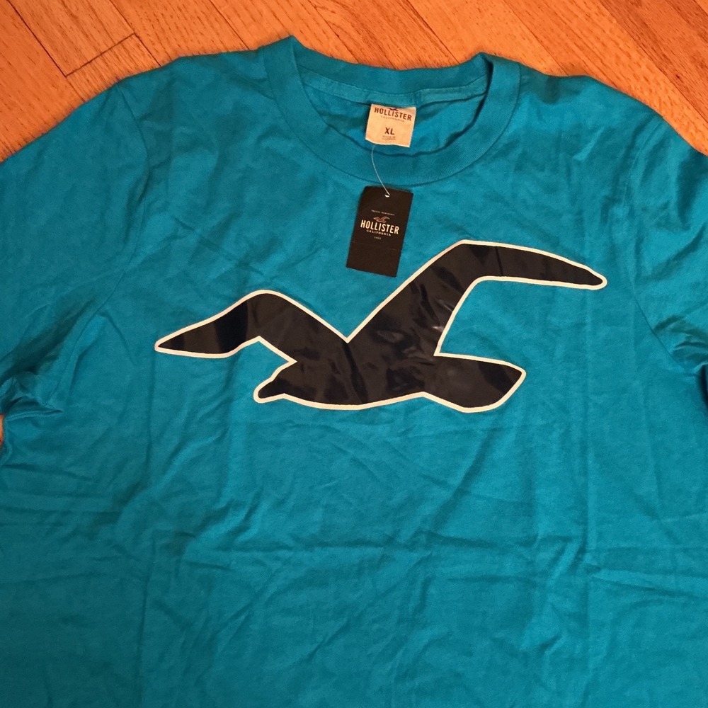 Hollister Graphic Tee Boys XL Teal Blue NEW Seagull Logo Short Sleeve Shirt